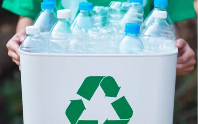 Food Grade Plastics: Choosing Safe Materials for Packaging